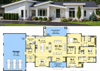 2642 Sq. Ft. Contemporary Plan with 3-5 Bedrooms, 2.5 Bathrooms, Flex Rooms, and 4-Car Garage